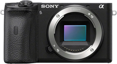 Sony 6600 Image