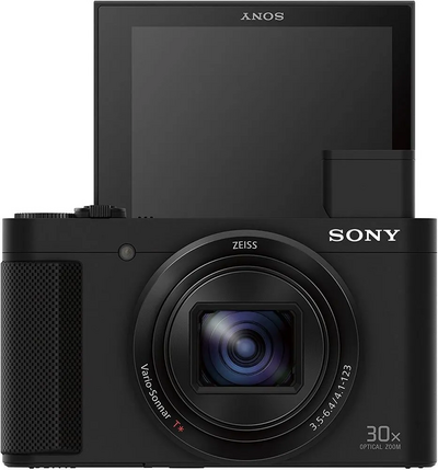 Sony DSCHX80 Image