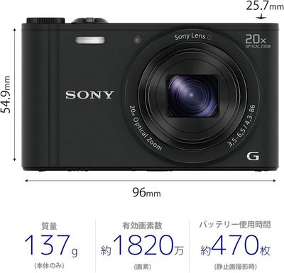 Sony DSCWX350 Image