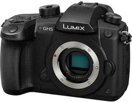 SSE Panasonic LUMIX GH5 (LUMIX DC-GH5) Image