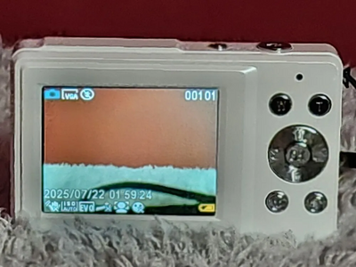 Vivitar Vec s124 Image