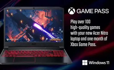 Acer Acer Nitro 5 AN515-55-53E5 Image