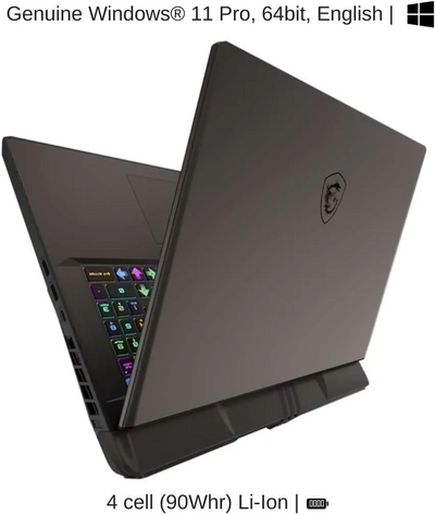 HIDevolution MSI Vector 17 HX A14VIG-839TAA Image