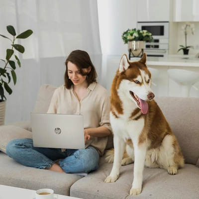 HP Pavilion Image