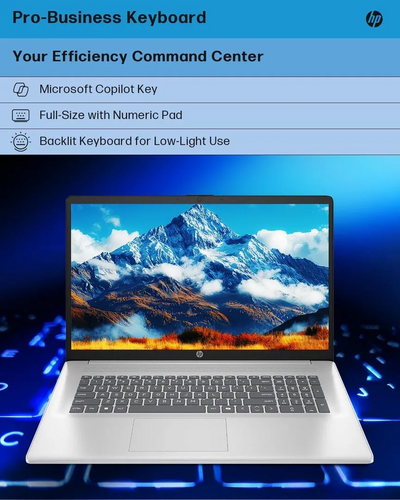 HP 17 Business Laptop Image