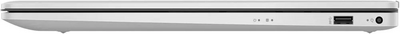 HP 17t Image