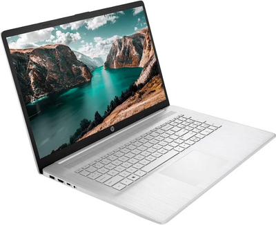 HP 17t Image