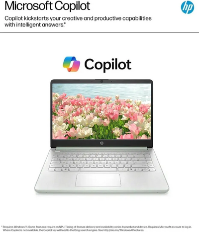HP 14 Inch Laptop Image
