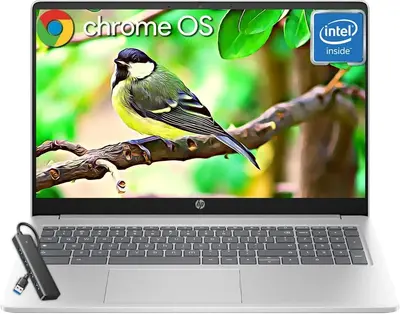 HP 15.6" Chromebook Image