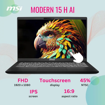MSI Modern Image
