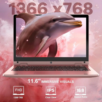 SAINTDISE ANL5-N5095 Image