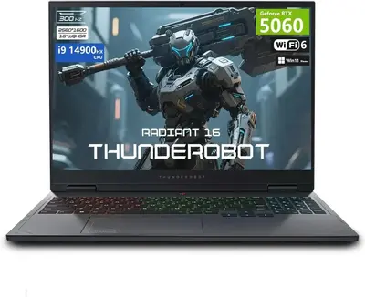 Thunderobot Radiant 16 Image