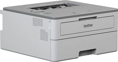 Brother HL-L2379DW Image