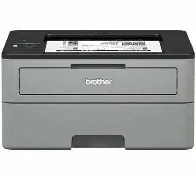 Brother HL-L2315DW Image
