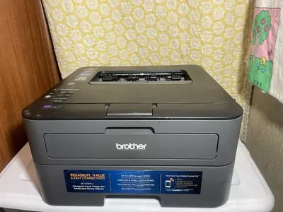 Brother HL-L2360DW Image