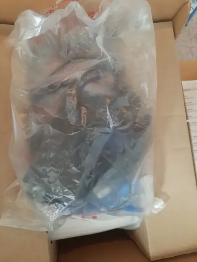 Canon Pixma mini 260 Image