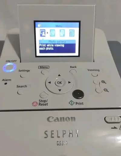 Canon SELPHY DS810 Image
