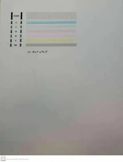 Canon Pixma ip100 Image