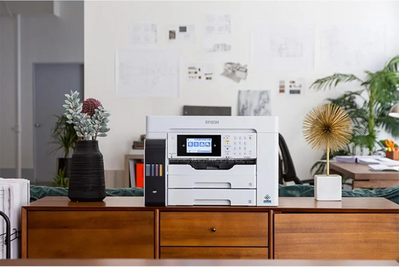 Epson St-C8090 Image