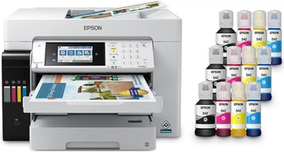 Epson St-C8090 Image