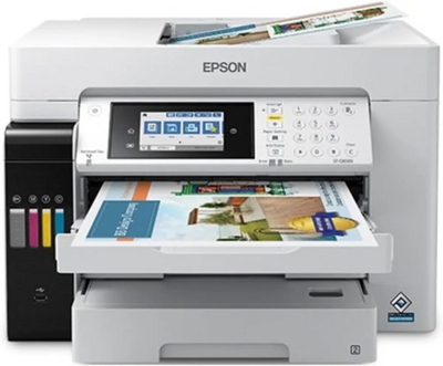 Epson St-C8090 Image