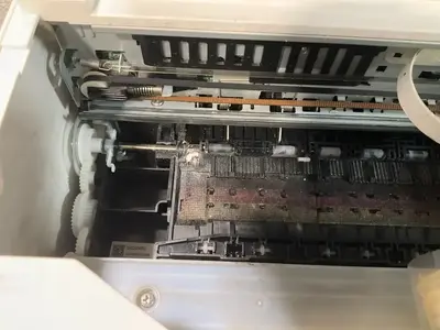 Epson EPSC11CG22203C Image