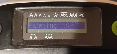 Epson LW-300 Image