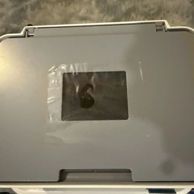 Epson Picturemate dash pm-260 Image