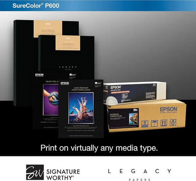 Epson C11CE21201 Image