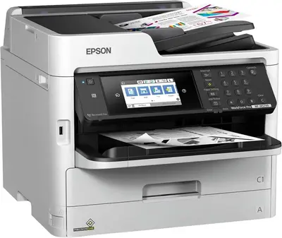 Epson C11CG04201-LB Image