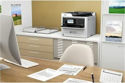 Epson C11CG04201-LB Image