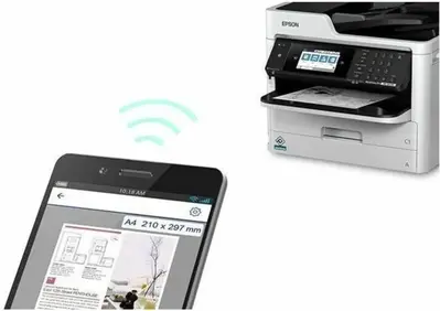 Epson C11CG04201-LB Image