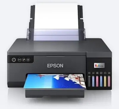 Epson L805 Image