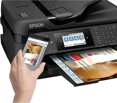 Epson C11CG36201 Image
