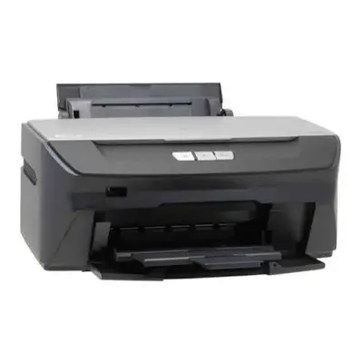Epson Stylus r260 Image