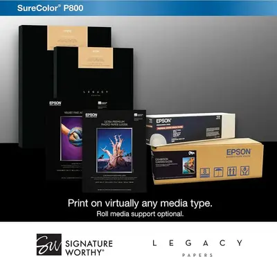 Epson P800 Image