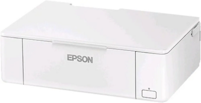 Epson PICTUREMATE Image