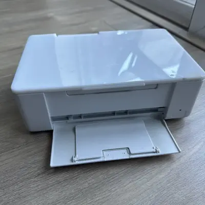 Epson PICTUREMATE Image