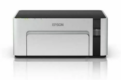 Epson M1120 Image