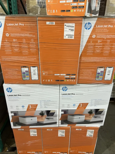 HP 3001dwe Image