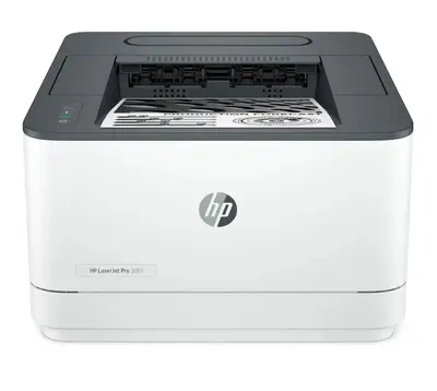 HP Pro 3001dw Image