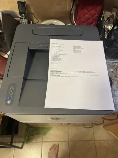 HP Pro 3001dw Image