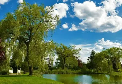 HP New Version Image