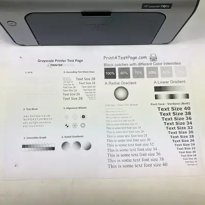 HP Laserjet P1006 Image