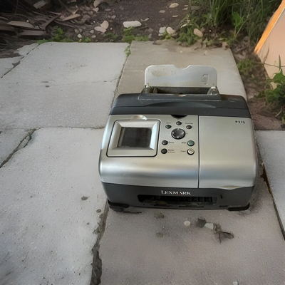 Lexmark P315 Image