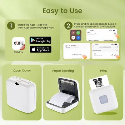 LFPERT -TP6 Image