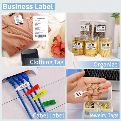 Niimbot lable master B1 Label Maker Image