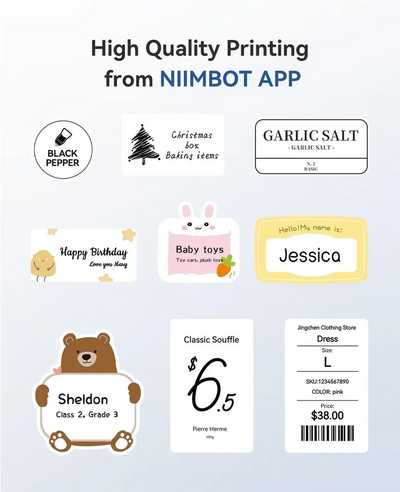 NIIMBOT B1 Image