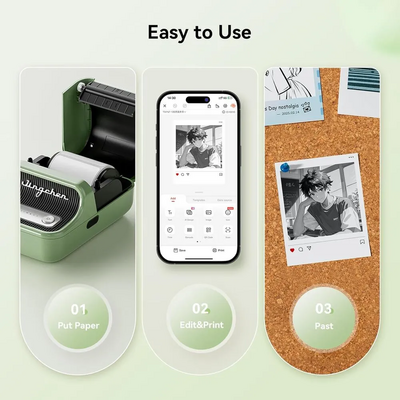 NIIMBOT B21-Pro-G Image