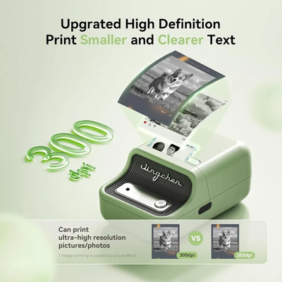NIIMBOT B21-Pro-G Image
